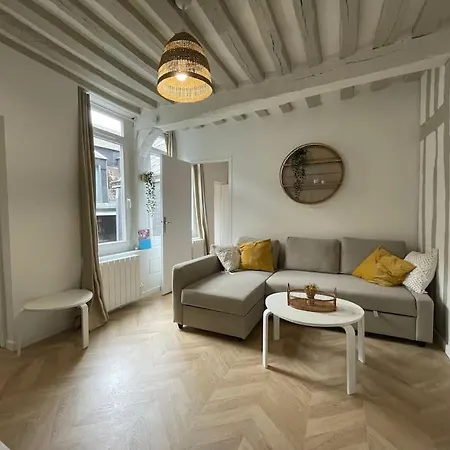 Le Logis Du Gros Horloge - Cosy Et Douillet Rouen