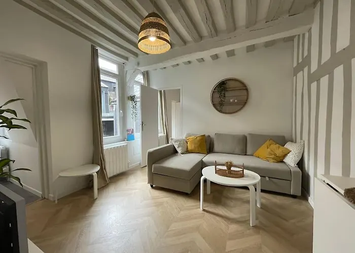 Le Logis Du Gros Horloge - Cosy Et Douillet Rouen